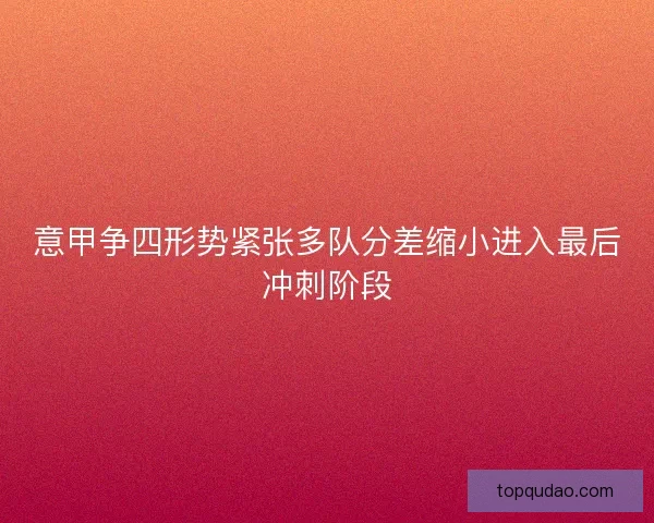 意甲争四形势紧张多队分差缩小进入最后冲刺阶段